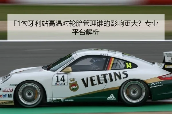 F1匈牙利站高温对轮胎管理谁的影响更大？专业平台解析